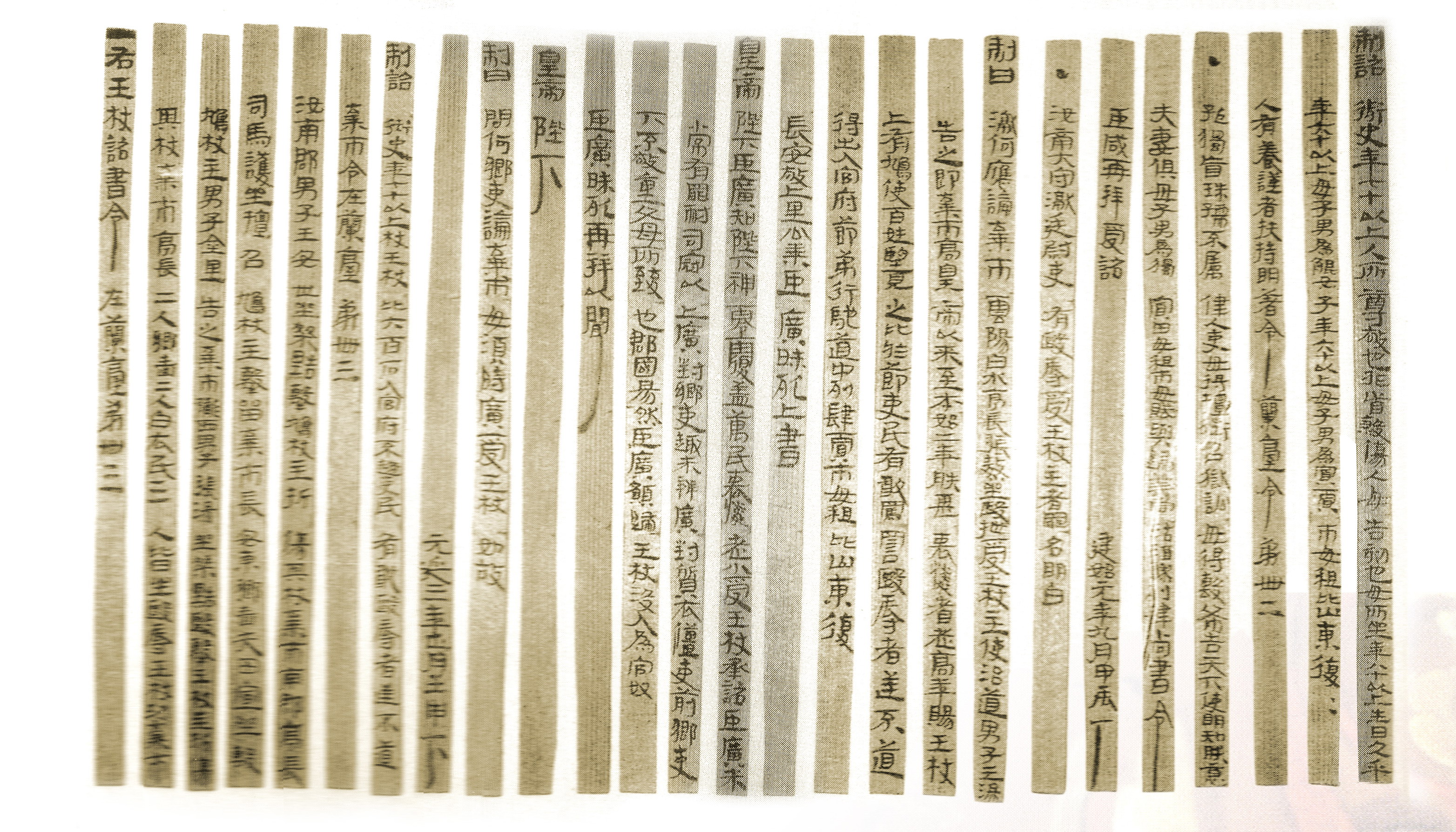 1237-1武威汉简《王杖诏书令》.jpg